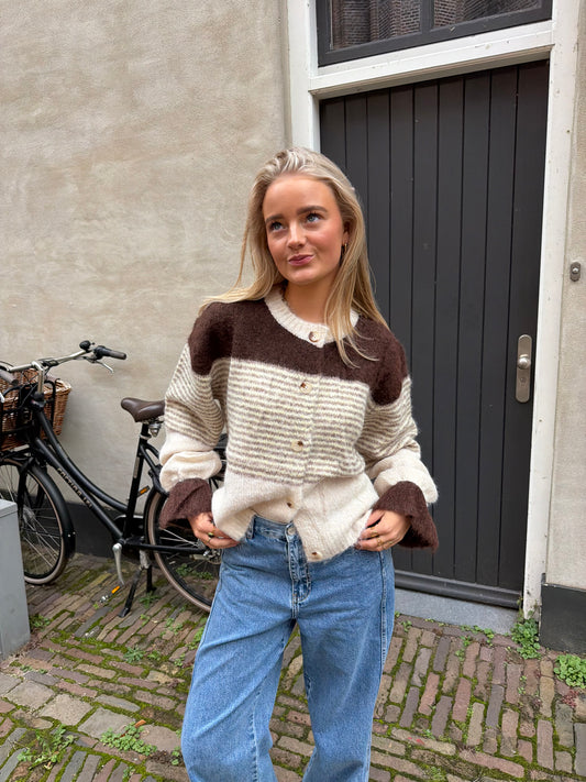 Cardigan Lissa Stripe Brown voor dames