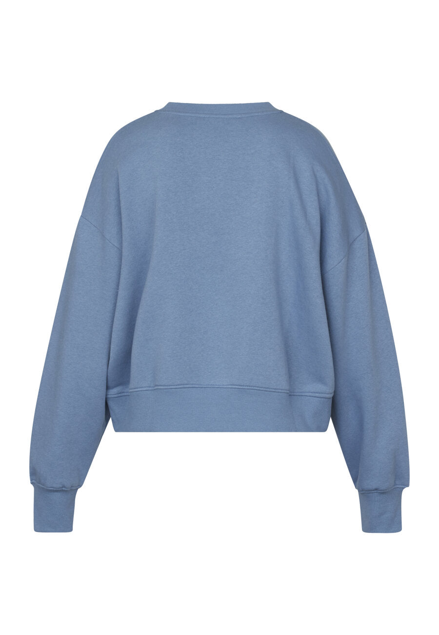 Sweater Daan Blauw voor dames