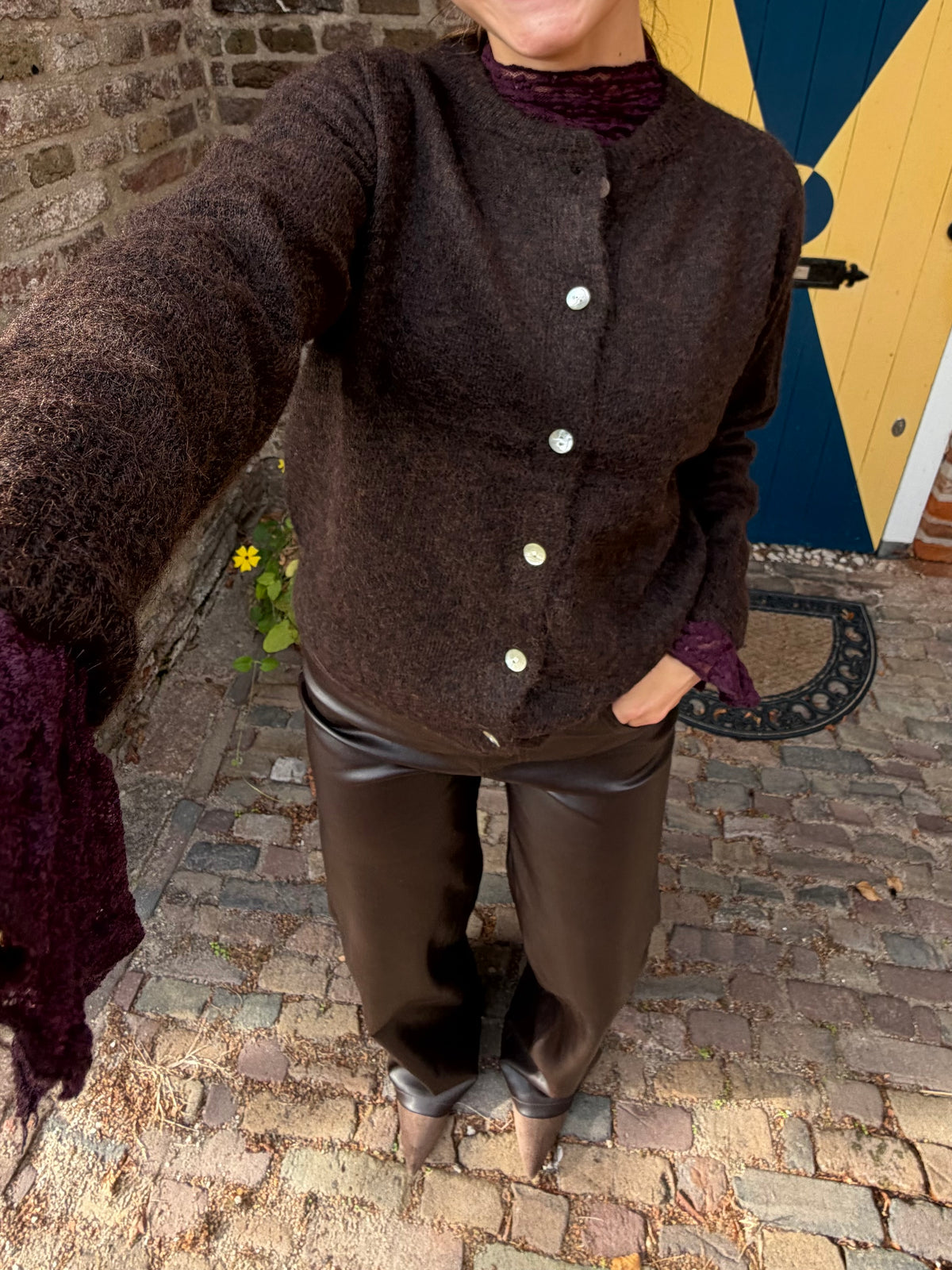 Pants Sanne Leather Look Brown voor dames