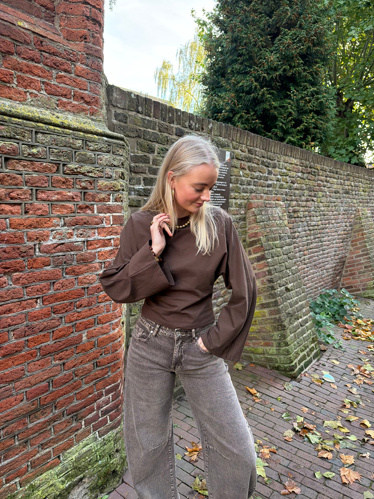 Top Ielse Brown, bruine dames top met wijde lange mouwen en een getailleerde pasvorm