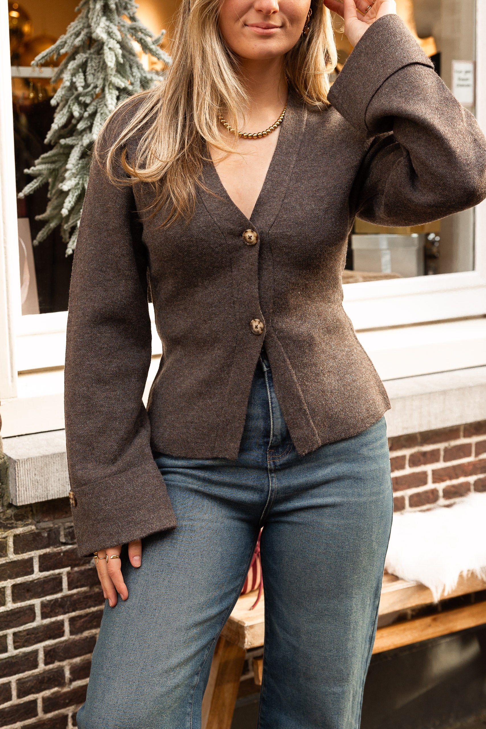 Vest Tessa Bruin voor dames