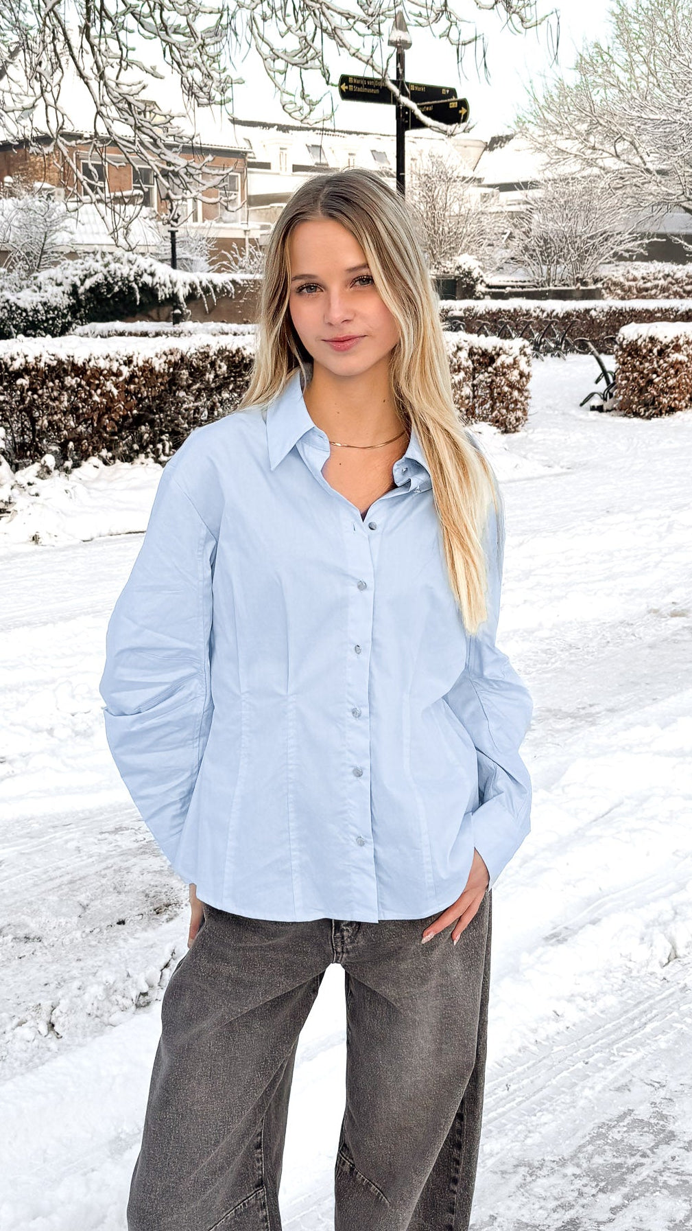 Blouse Julie Blauw voor dames