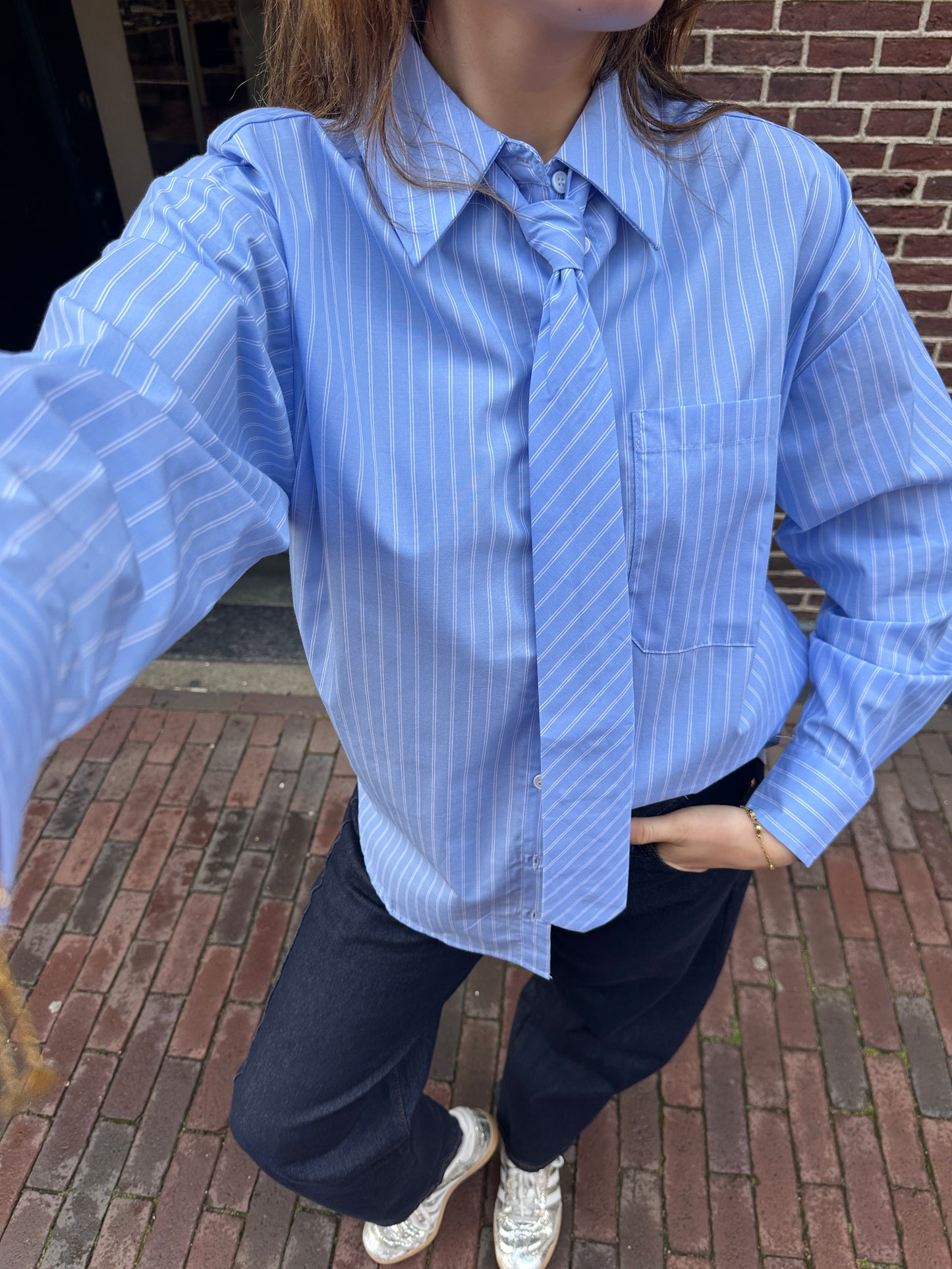 Blouse Vanya Stripe Blue voor dames