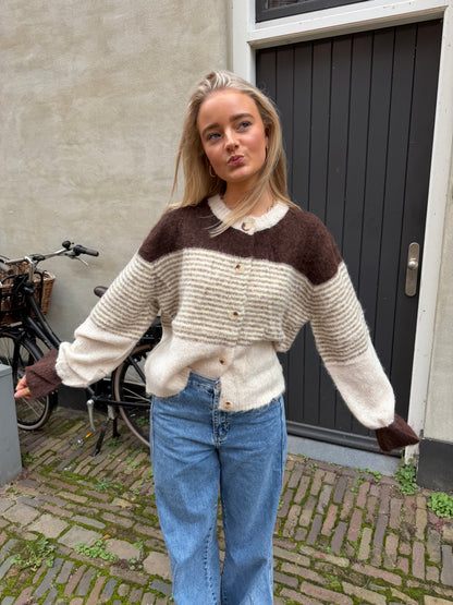 Cardigan Lissa Stripe Brown voor dames