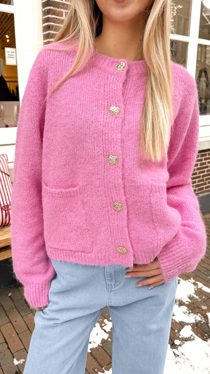 Vest Maud Roze voor dames