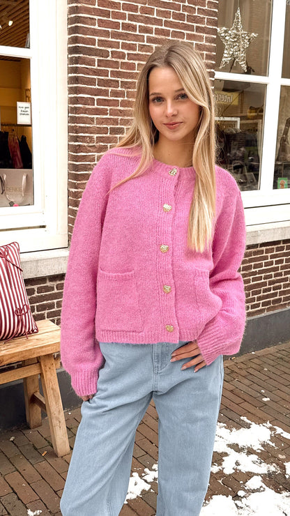Vest Maud Roze voor dames