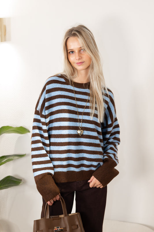 Trui Sara Bruin voor dames