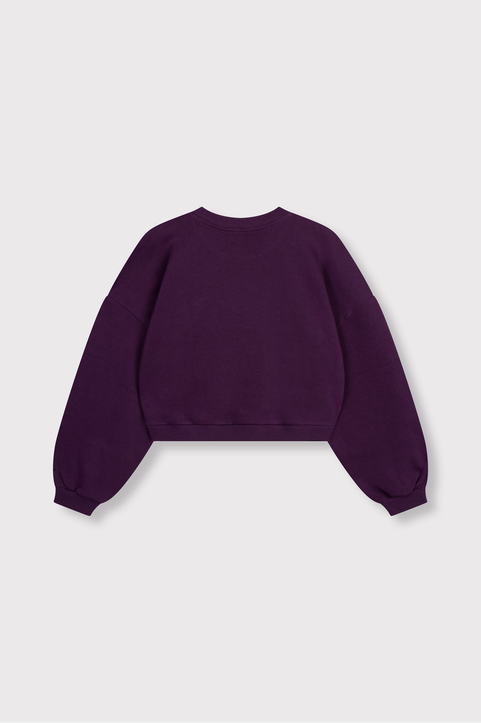 Sweater Feddy Plum voor dames