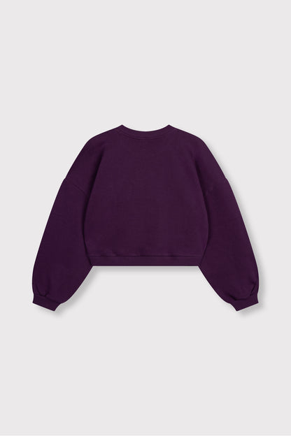 Sweater Feddy Plum voor dames